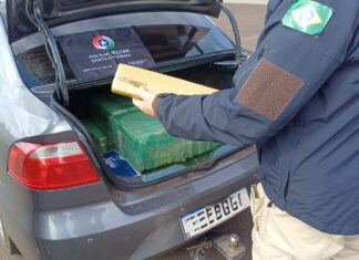 Comboio com 360 quilos de maconha é interceptado no Meio-Oeste catarinense