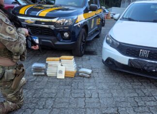 PRF intercepta carga de cocaína e maconha após tentativa de fuga no Norte do Estado