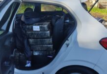 PRF intercepta mais de 400 quilos de maconha na BR-101 em Joinville