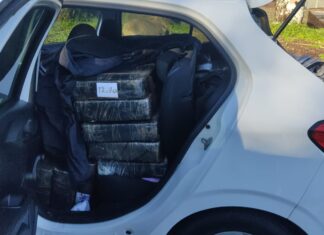 PRF intercepta mais de 400 quilos de maconha na BR-101 em Joinville