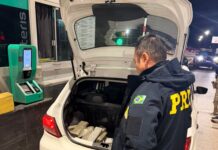 Jovens são presos com 50 kg de maconha na BR-101 em Porto Belo
