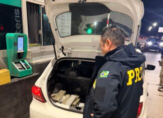 Jovens são presos com 50 kg de maconha na BR-101 em Porto Belo