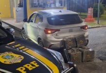 PRF prende foragido da Justiça com quase 120 quilos de maconha após perseguição na BR-101 em Joinville