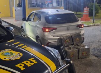 PRF prende foragido da Justiça com quase 120 quilos de maconha após perseguição na BR-101 em Joinville