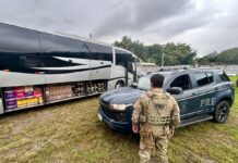 Fiscalização intercepta ônibus com 3 mil garrafas de bebidas uruguaias no Norte catarinense