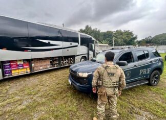Fiscalização intercepta ônibus com 3 mil garrafas de bebidas uruguaias no Norte catarinense