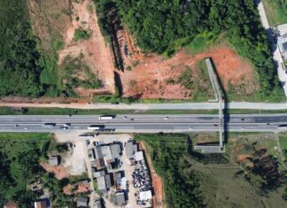 Município realiza limpeza emergencial na Marginal Oeste e recebe notificação da Arteris durante intervenção