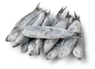 Anvisa proíbe consumo de lote de sardinha por presença de Salmonella