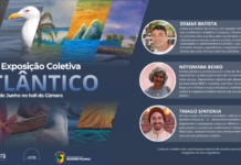 Exposição “Atlântico” destaca a relação entre arte e meio ambiente em Balneário Piçarras