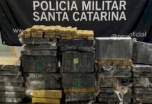 Mais de uma tonelada de maconha é apreendida em Santa Catarina durante o fim de semana