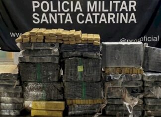 Mais de uma tonelada de maconha é apreendida em Santa Catarina durante o fim de semana