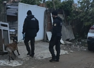 Investigação sobre ocupação irregular de terrenos resulta em operação policial em Barra Velha