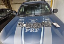 PRF apreende centenas de ampolas de remédio para emagrecer em fundo falso