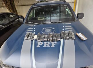 PRF apreende centenas de ampolas de remédio para emagrecer em fundo falso