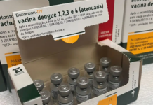 Ministério da Saúde suspende vacina contra a dengue do Butantan