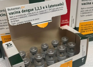 Ministério da Saúde suspende vacina contra a dengue do Butantan