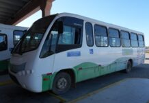 Balneário Piçarras confirma linhas gratuitas de ônibus para o Piçarraiá 2026