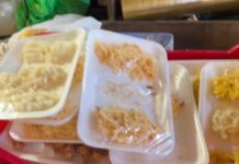 Polícia Civil prende homem em flagrante por tráfico de drogas e identifica produção clandestina de alimentos