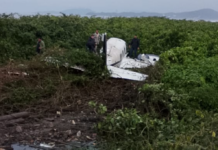 Avião de pequeno porte cai na restinga da praia de Navegantes