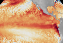 MetSul alerta que El Niño pode ser o mais intenso da era moderna e elevar risco de eventos extremos no Sul do Brasil