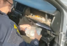 PRF intercepta automóvel recheado de drogas escondidas em caixas de som, portas, motor e painel de automóvel na BR-101