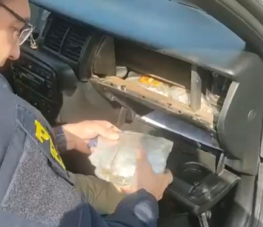 PRF intercepta automóvel recheado de drogas escondidas em caixas de som, portas, motor e painel de automóvel na BR-101