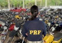 PRF promove leilão de centenas de veículos apreendidos ou abandonados em rodovias federais de SC