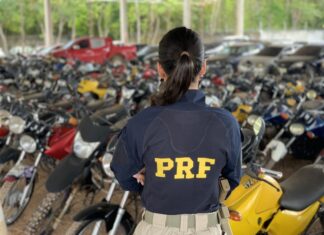 PRF promove leilão de centenas de veículos apreendidos ou abandonados em rodovias federais de SC