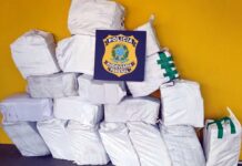 PRF apreende quase meia tonelada de cocaína na BR-101, em Joinville