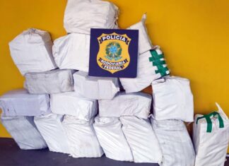 PRF apreende quase meia tonelada de cocaína na BR-101, em Joinville