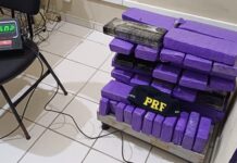 Homem é preso na BR-101 em Joinville com 60 quilos de maconha em porta-malas de automóvel