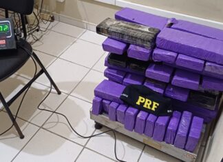 Homem é preso na BR-101 em Joinville com 60 quilos de maconha em porta-malas de automóvel
