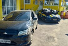 PRF intercepta 24 quilos de maconha na BR-101 e Paulo Lopes