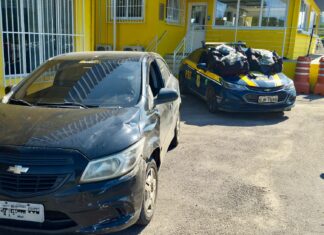 PRF intercepta 24 quilos de maconha na BR-101 e Paulo Lopes