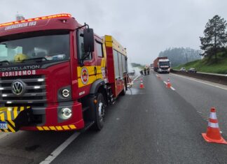 Peugeot é destruído por incêndio na BR-101 em Araquari
