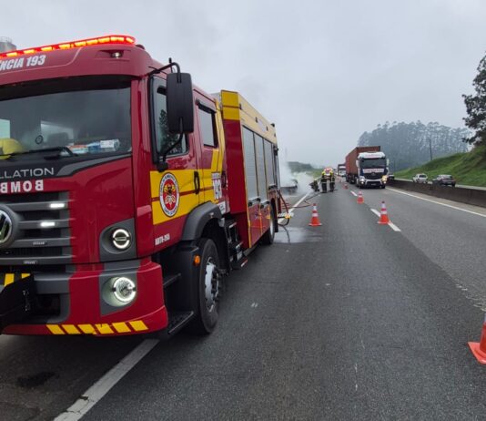 Peugeot é destruído por incêndio na BR-101 em Araquari