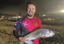 Corvina de 2,580 kg fisgada na Praia de Balneário Piçarras chama a atenção de pescadores