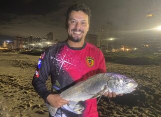 Corvina de 2,580 kg fisgada na Praia de Balneário Piçarras chama a atenção de pescadores