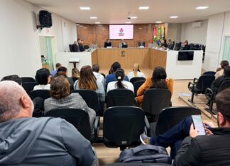Audiência Pública debate atendimento e políticas públicas para pessoas com Diabetes Tipo 1 em Balneário Piçarras