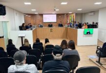 30ª Sessão Ordinária tem aprovação de projetos sobre controle interno, cultura e creche em plantão