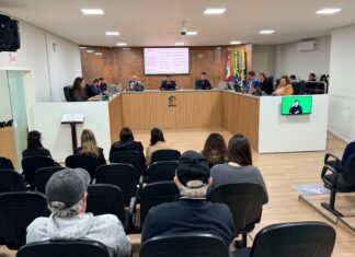 30ª Sessão Ordinária tem aprovação de projetos sobre controle interno, cultura e creche em plantão