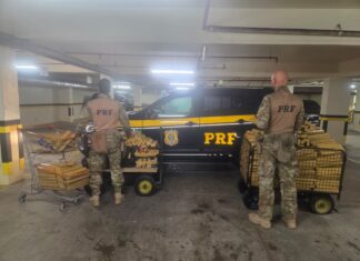 PRF apreende quase meia tonelada de maconha transportada em guincho na BR 101