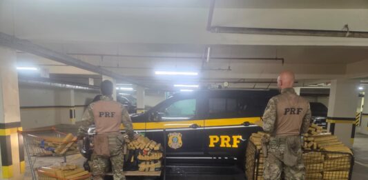 PRF apreende quase meia tonelada de maconha transportada em guincho na BR 101