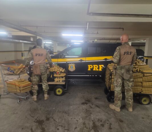 PRF apreende quase meia tonelada de maconha transportada em guincho na BR 101
