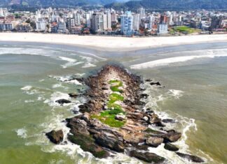 IAN orienta sobre cuidados com aves na Ilha do Gravatá