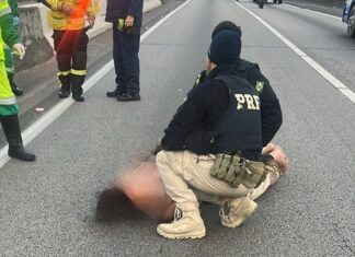 Ação conjunta salva homem em surto na BR-101 em SC