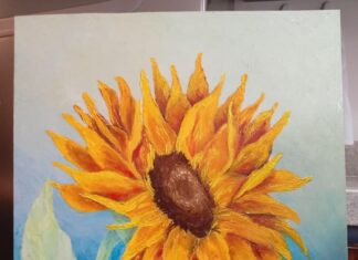 Câmara de Vereadores de Balneário Piçarras promove exposição de Osmar Batista da Silva”