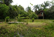 Balneário Piçarras lança roteiro agroturístico Brisa e Raiz na quarta-feira